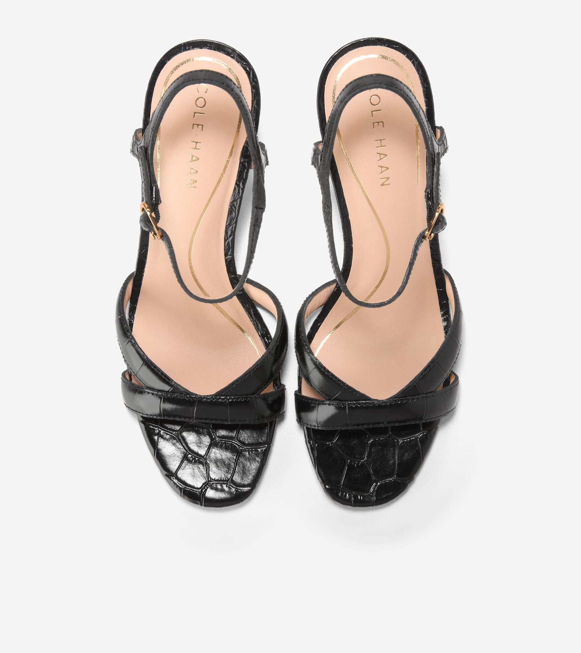 W34656:BLACK CROC PRINT LEATHER