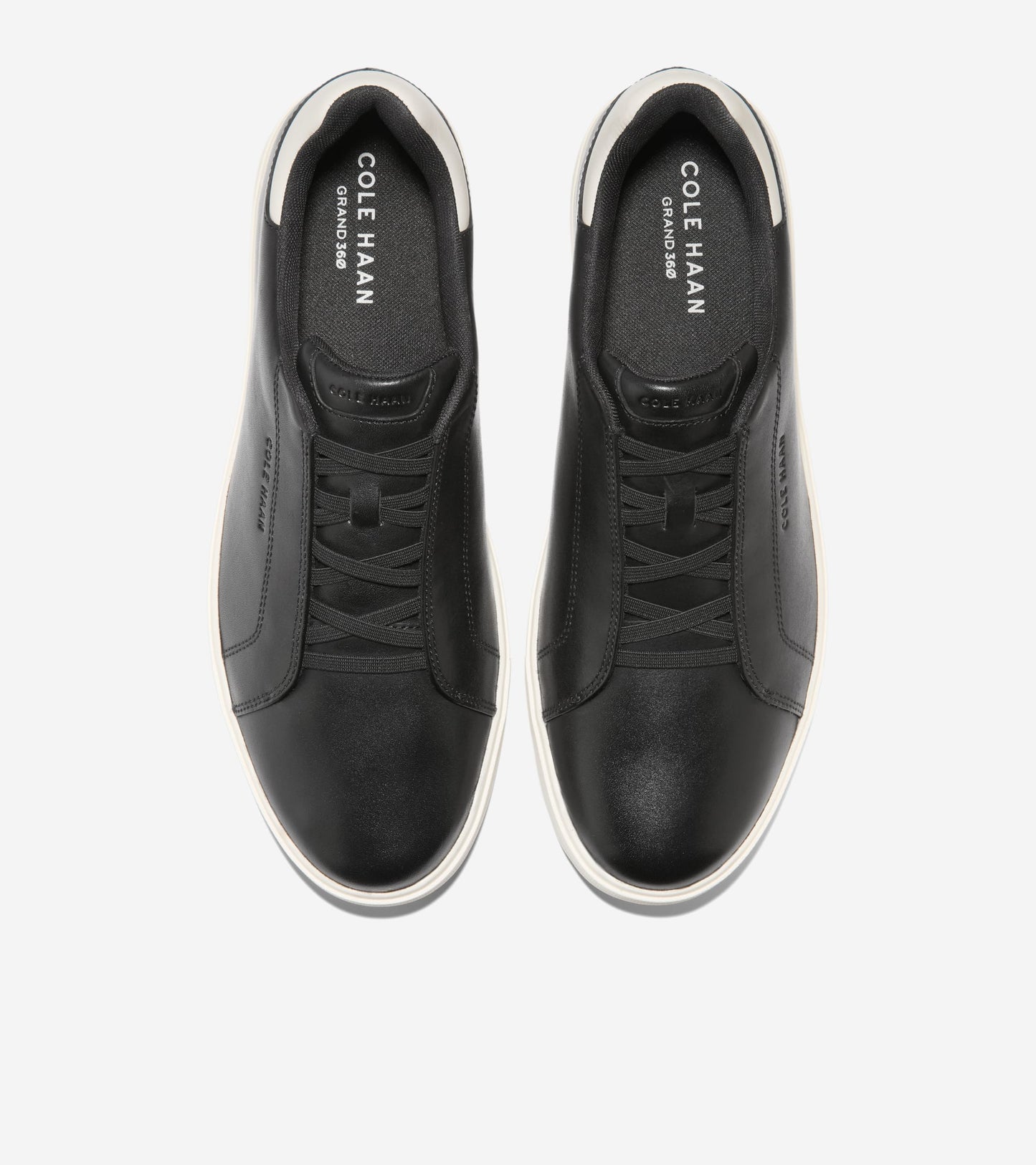 C40819:BLACK / IVORY