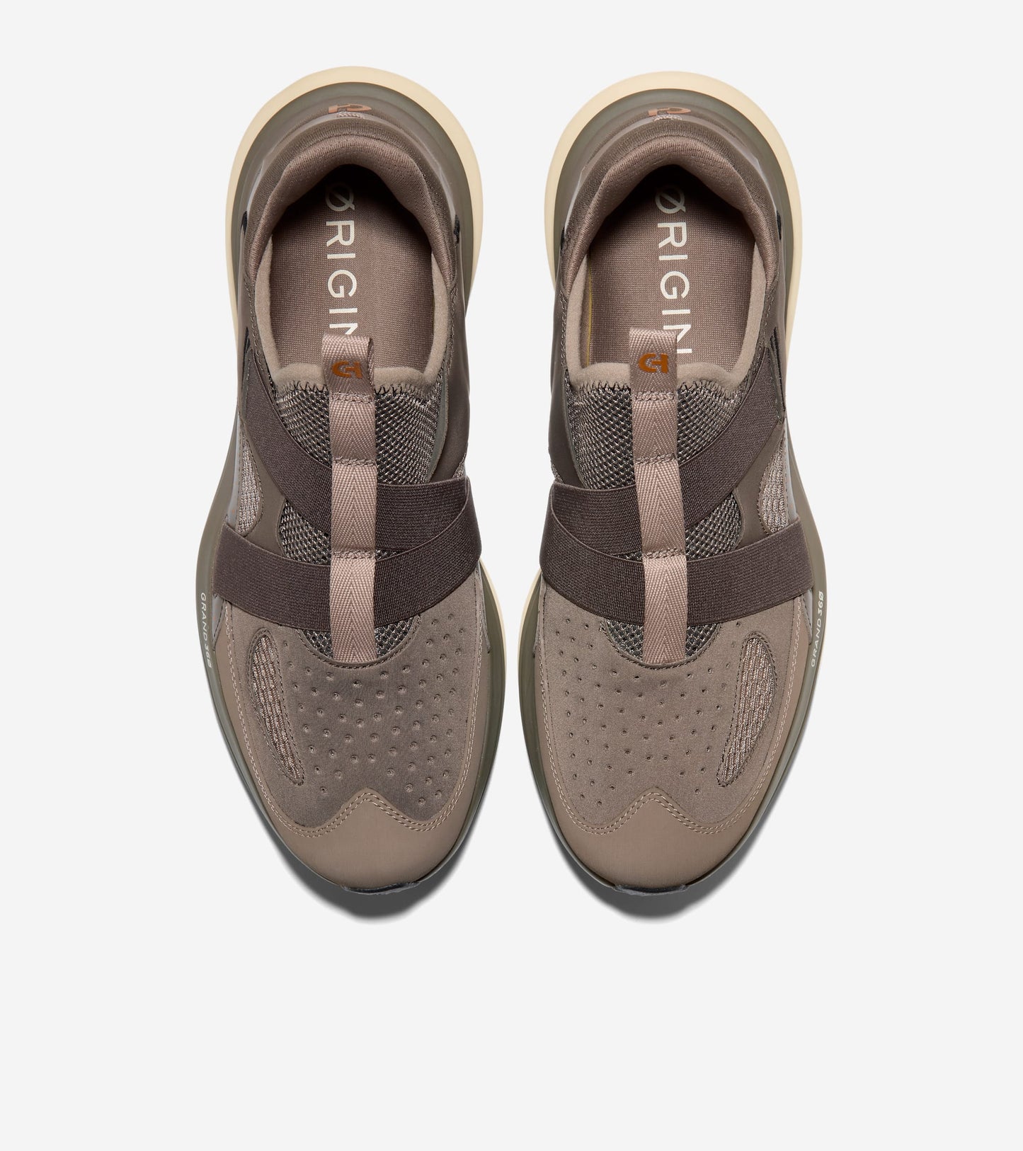 C41241:MOREL / CH IRISH COFFEE / ALABASTER GLEAM